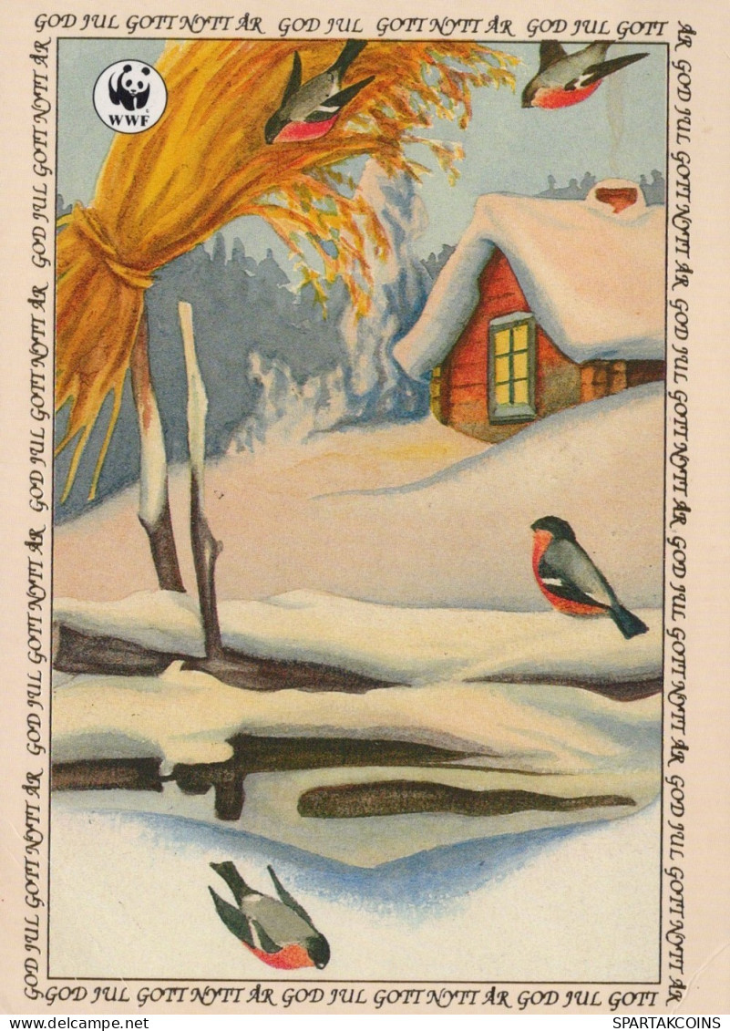 VOGEL Tier Vintage Ansichtskarte Postkarte CPSM #PAM845.A - Vögel