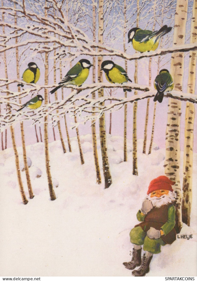 VOGEL Tier Vintage Ansichtskarte Postkarte CPSM #PAM785.A - Vögel
