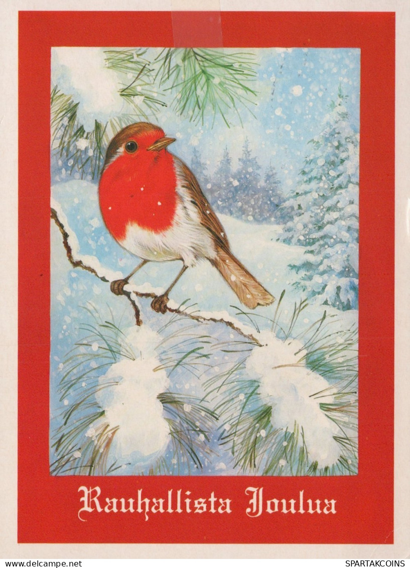 UCCELLO Animale Vintage Cartolina CPSM #PAM653.A - Vögel