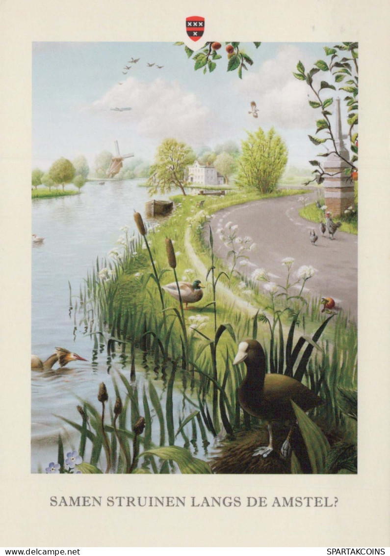 BIRD Animals Vintage Postcard CPSM #PBR579.A - Vögel