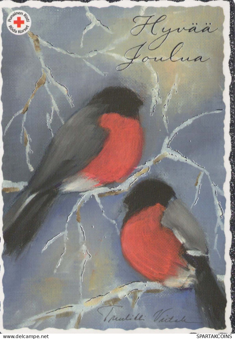 BIRD Animals Vintage Postcard CPSM #PBR574.A - Vögel