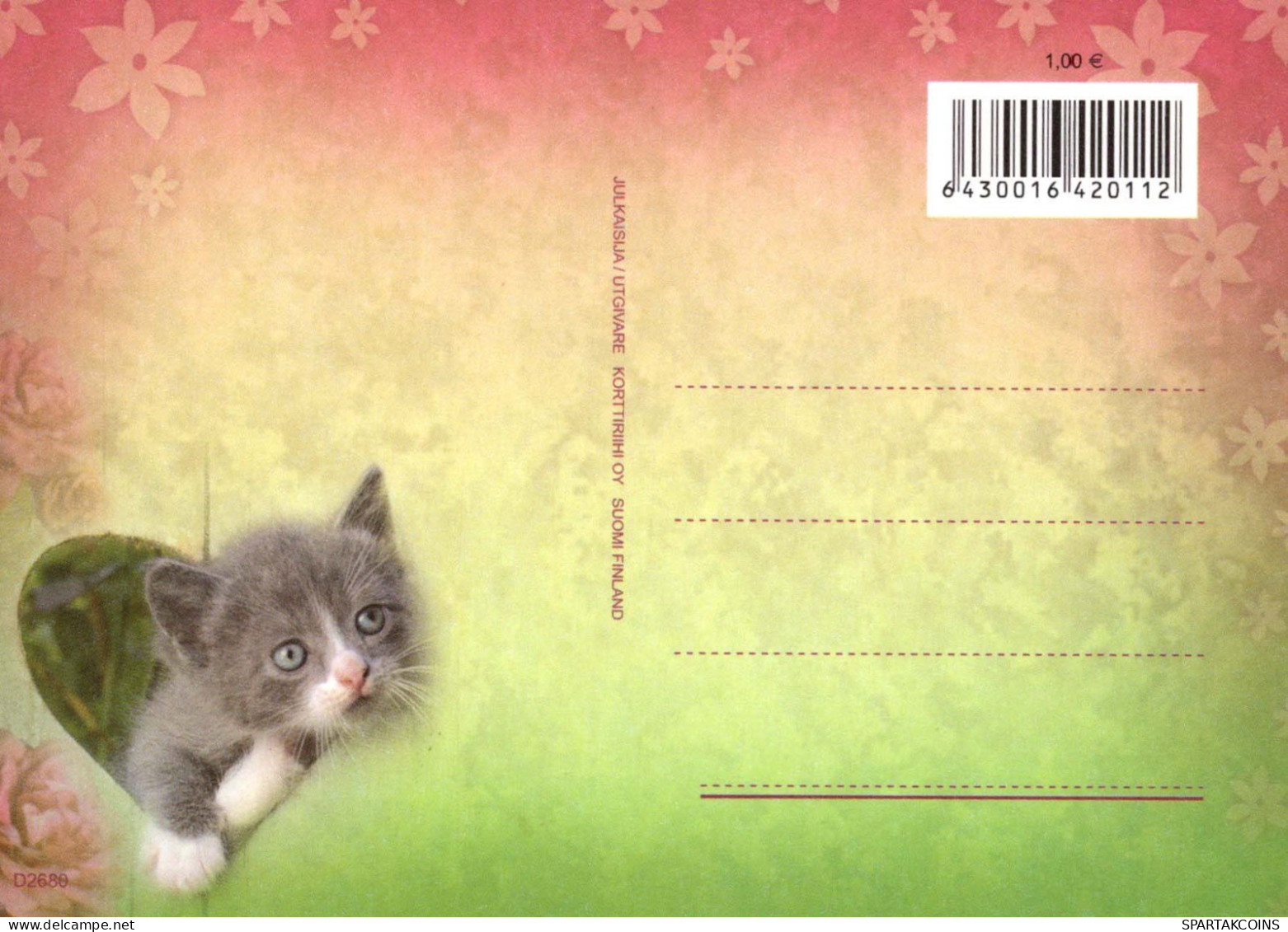 GATTO KITTY Animale Vintage Cartolina CPSM #PBQ830.A - Chats