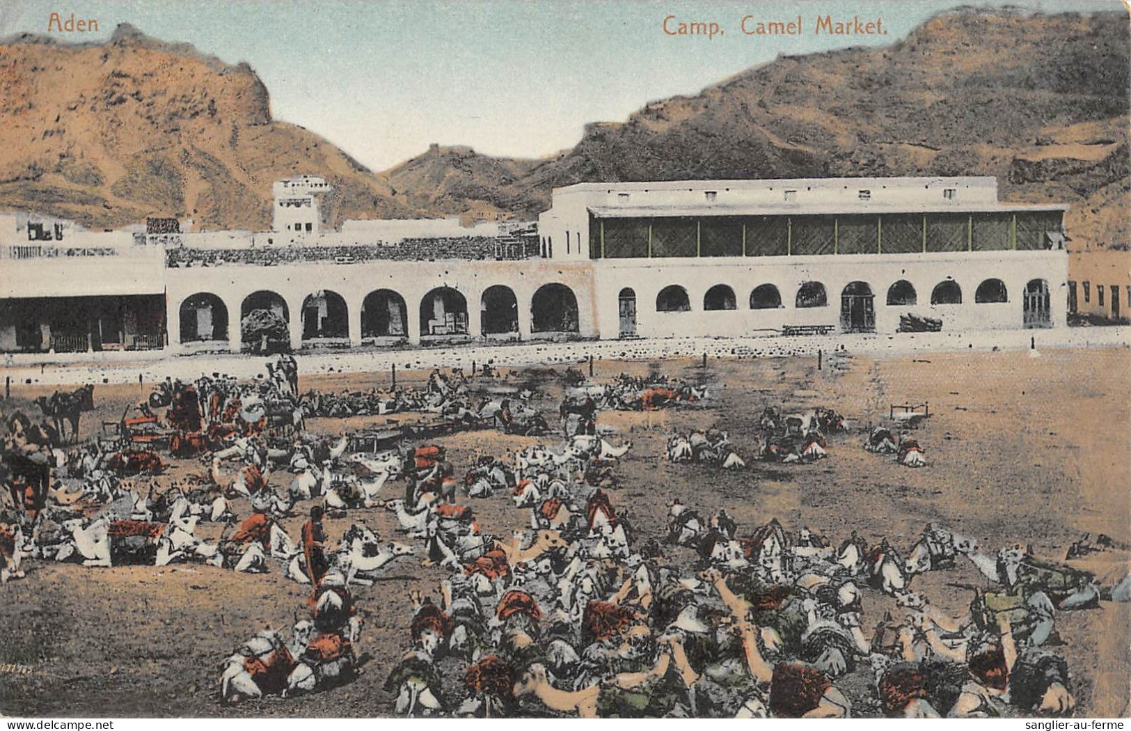 CPA / YEMEN / CAMP CAMEL MARKET / TIMBRE AU VERSO - Yemen