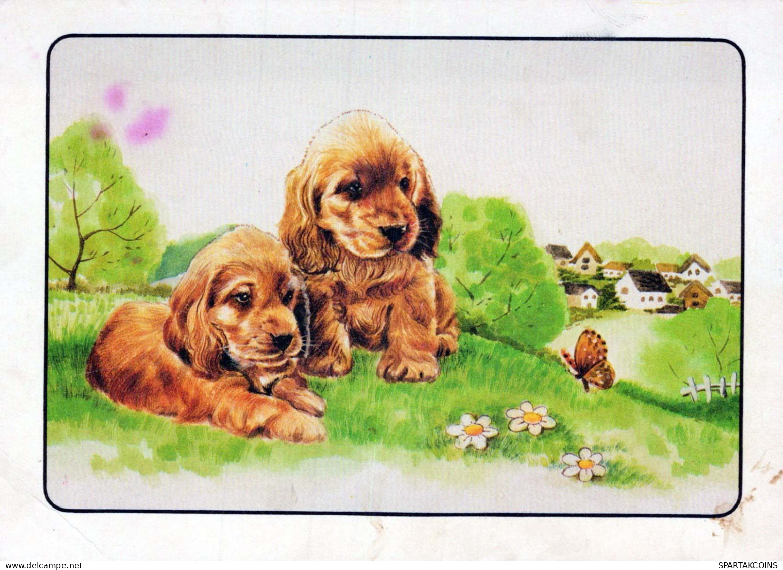 DOG Animals Vintage Postcard CPSM #PBQ488.A - Hunde