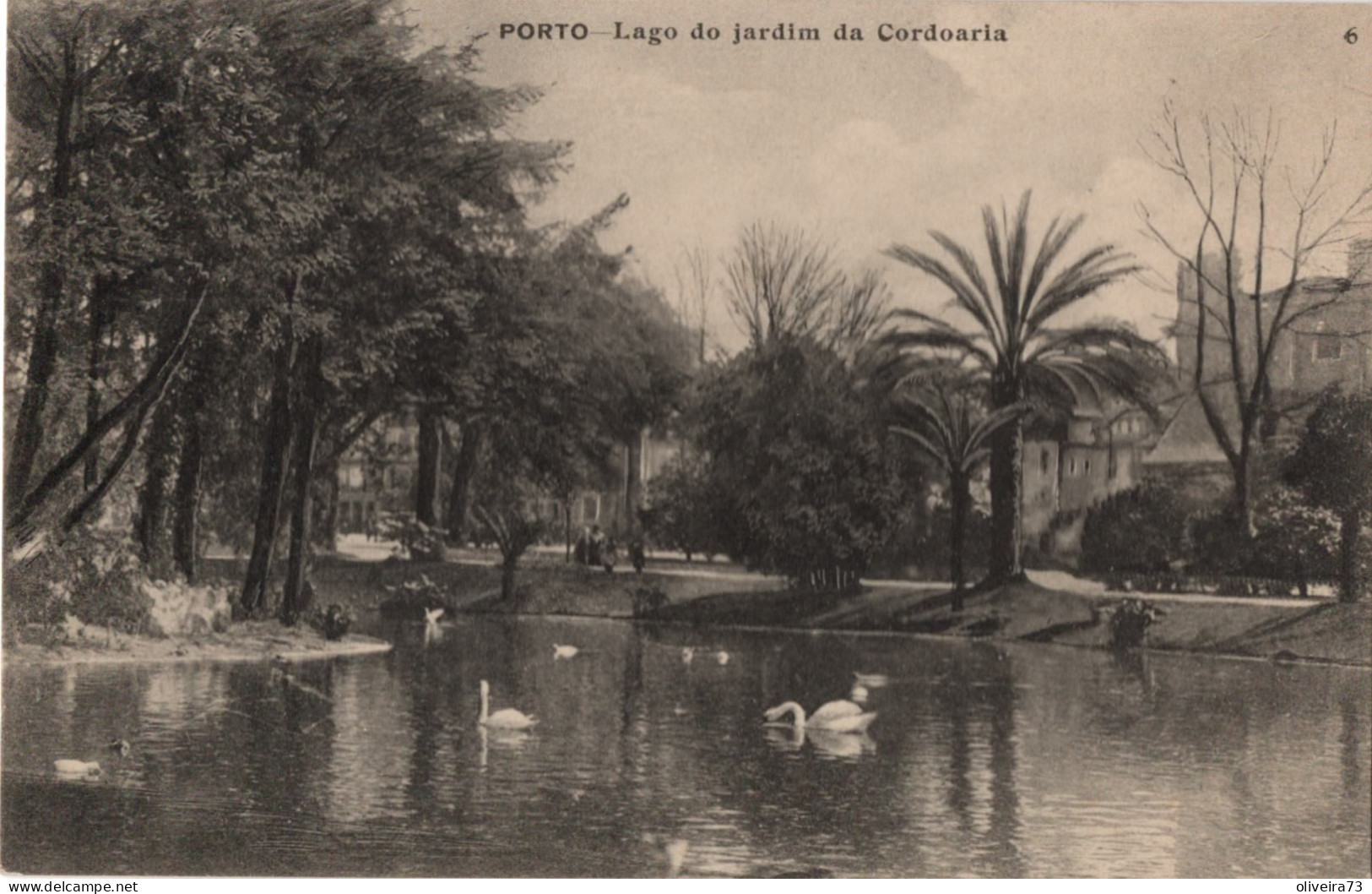 PORTO - Lago Do Jardim Da Cordoaria - PORTUGAL - Porto