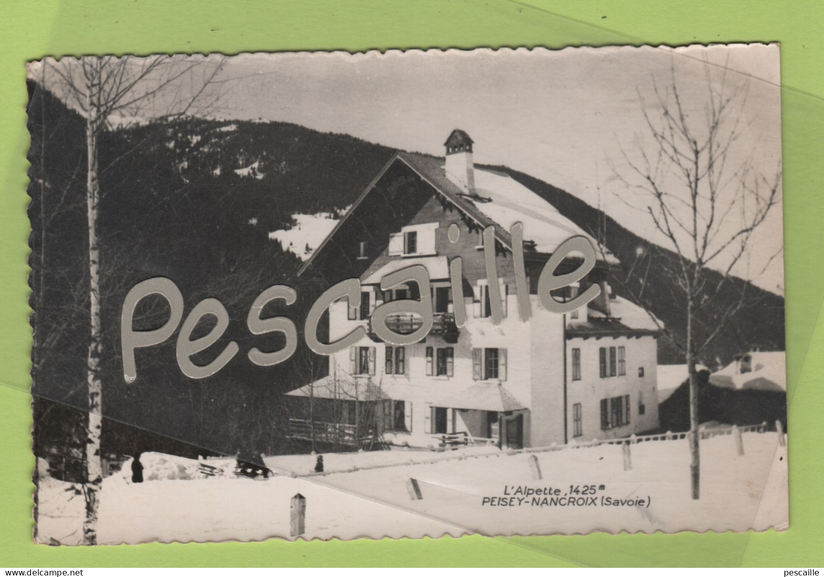 73 SAVOIE - CP L'ALPETTE 1425m - PEISEY NANCROIX - SANS NOM D'EDITEUR - CRITE - Other & Unclassified