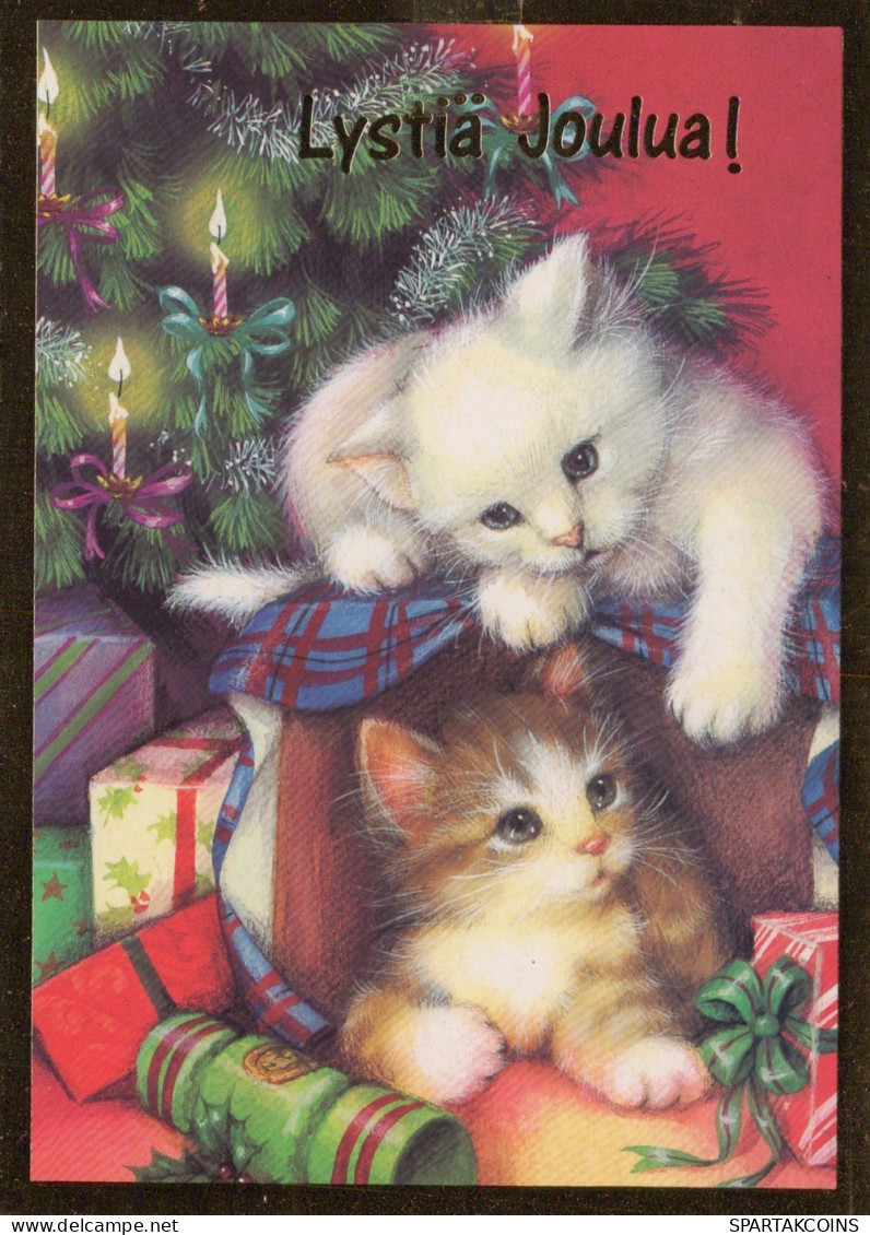 CAT KITTY Animals Vintage Postcard CPSM #PAM460.GB - Chats