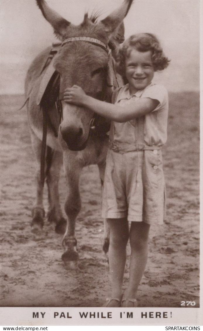 DONKEY Animals Children Vintage Antique Old CPA Postcard #PAA282.GB - Donkeys