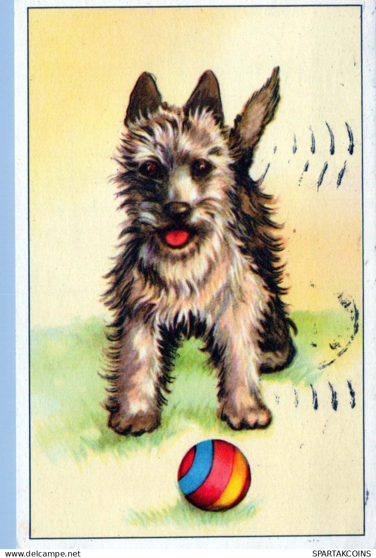 DOG Animals Vintage Postcard CPA #PKE775.GB - Hunde