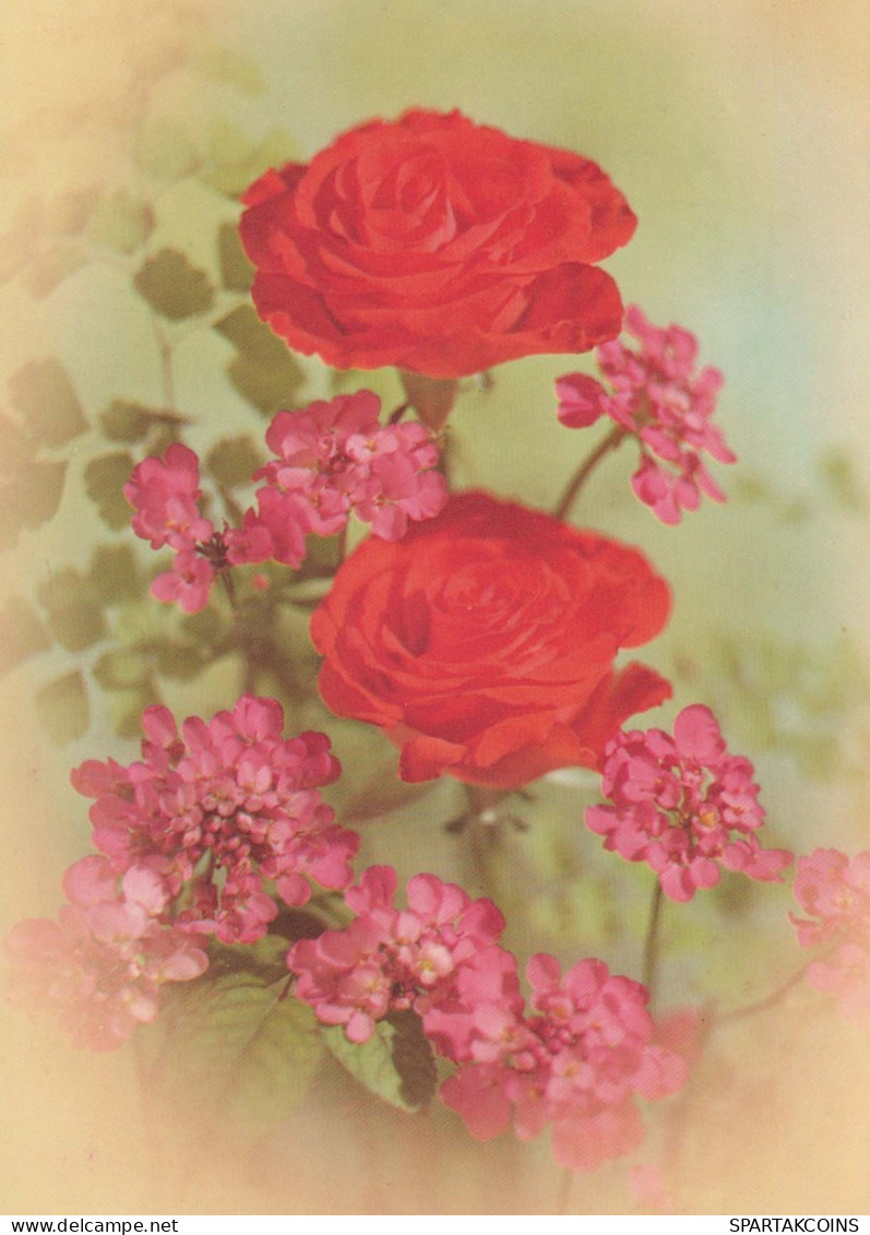 FLEURS Vintage Carte Postale CPSM #PAS069.FR - Flores