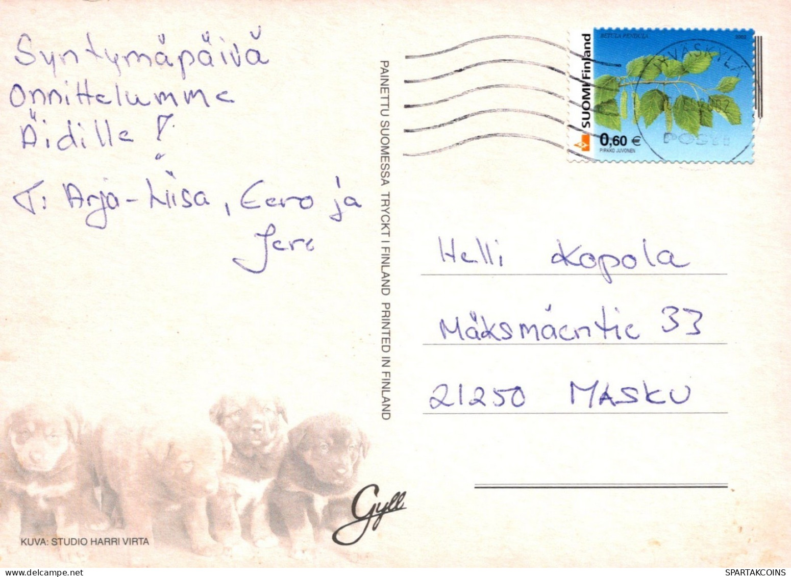 CHIEN Animaux Vintage Carte Postale CPSM #PAN721.FR - Hunde