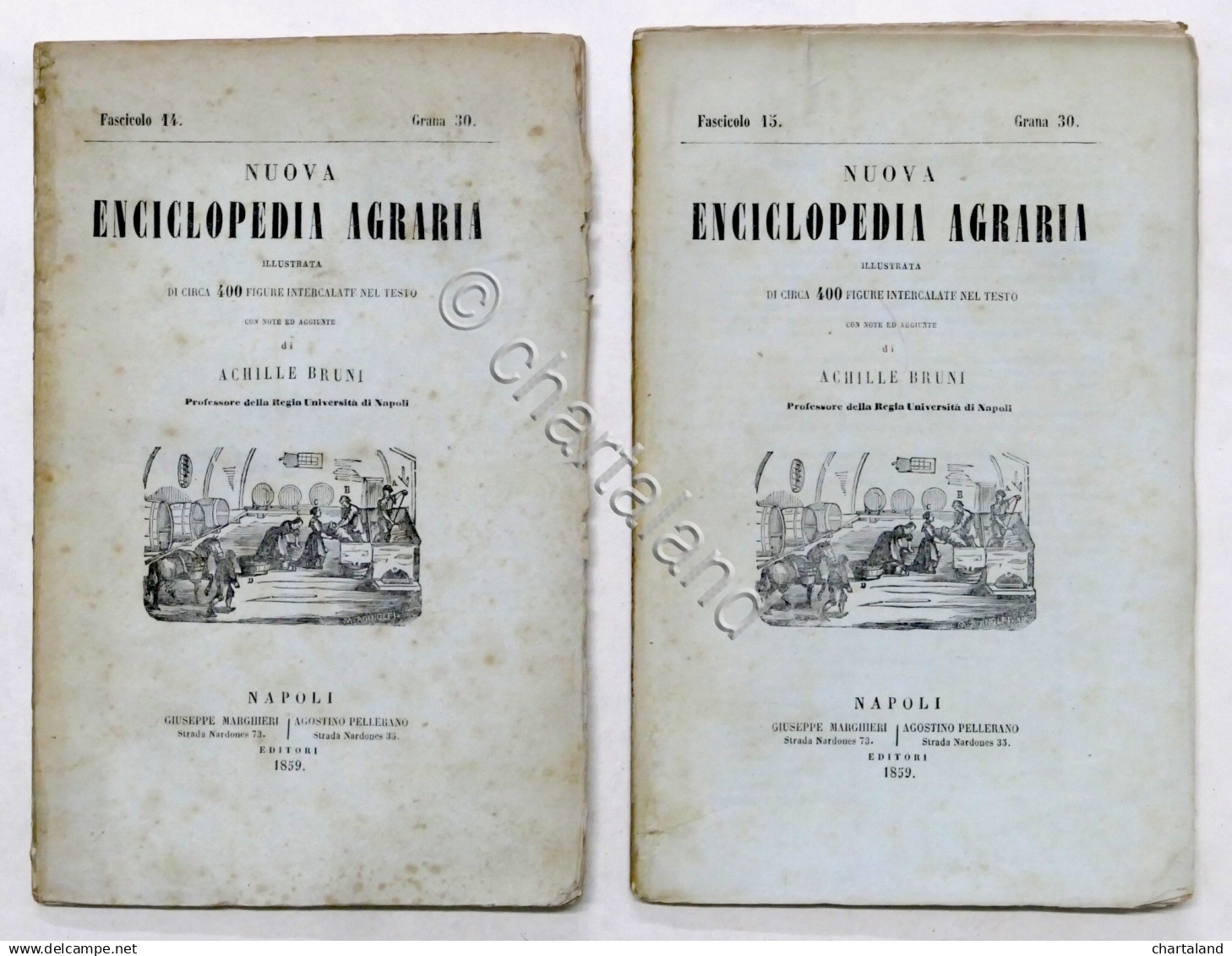 Nuova Enciclopedia Agraria - Fascicoli 14 E 15 - Anno 1859 - Fabbricare I Vini - Autres & Non Classés