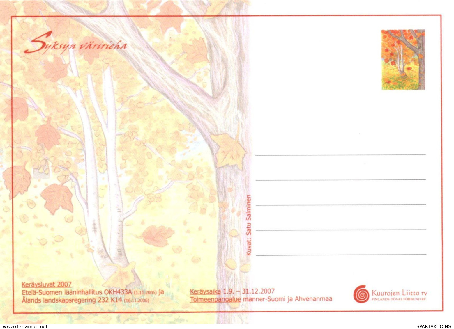 FLORES Vintage Tarjeta Postal CPSM #PBZ115.ES - Fleurs