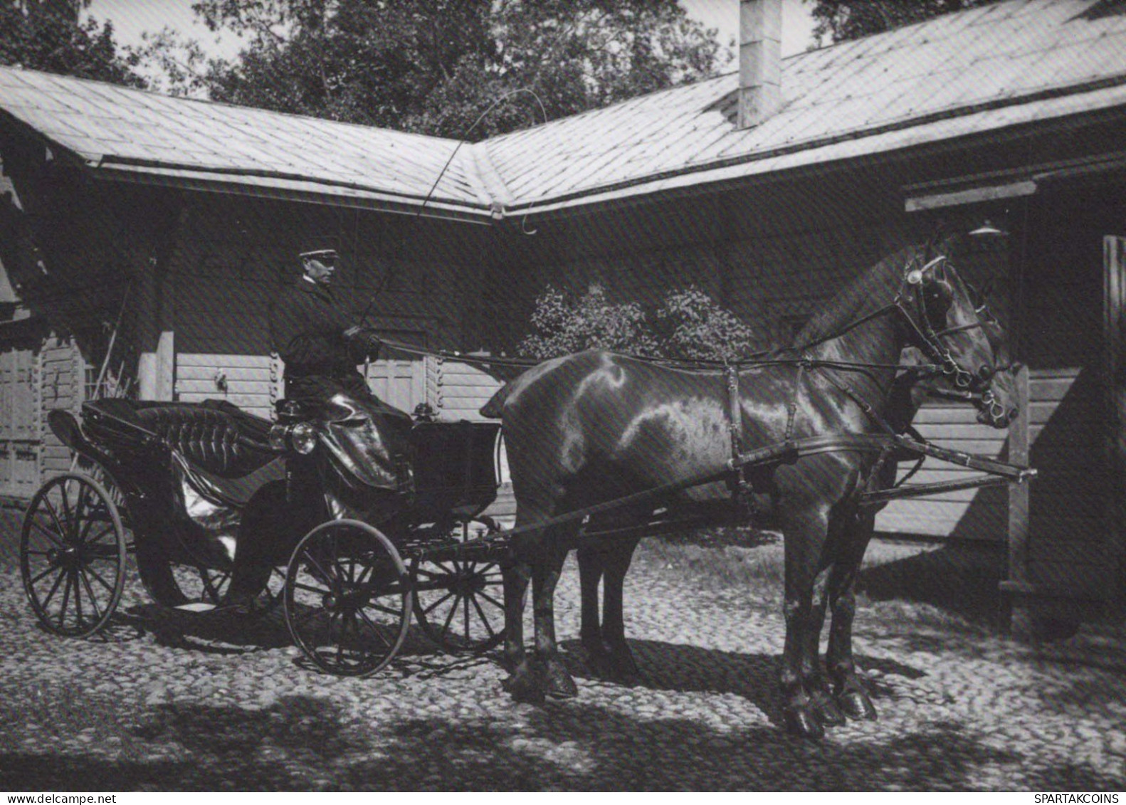 CABALLO Animales Vintage Tarjeta Postal CPSM #PBR921.ES - Chevaux