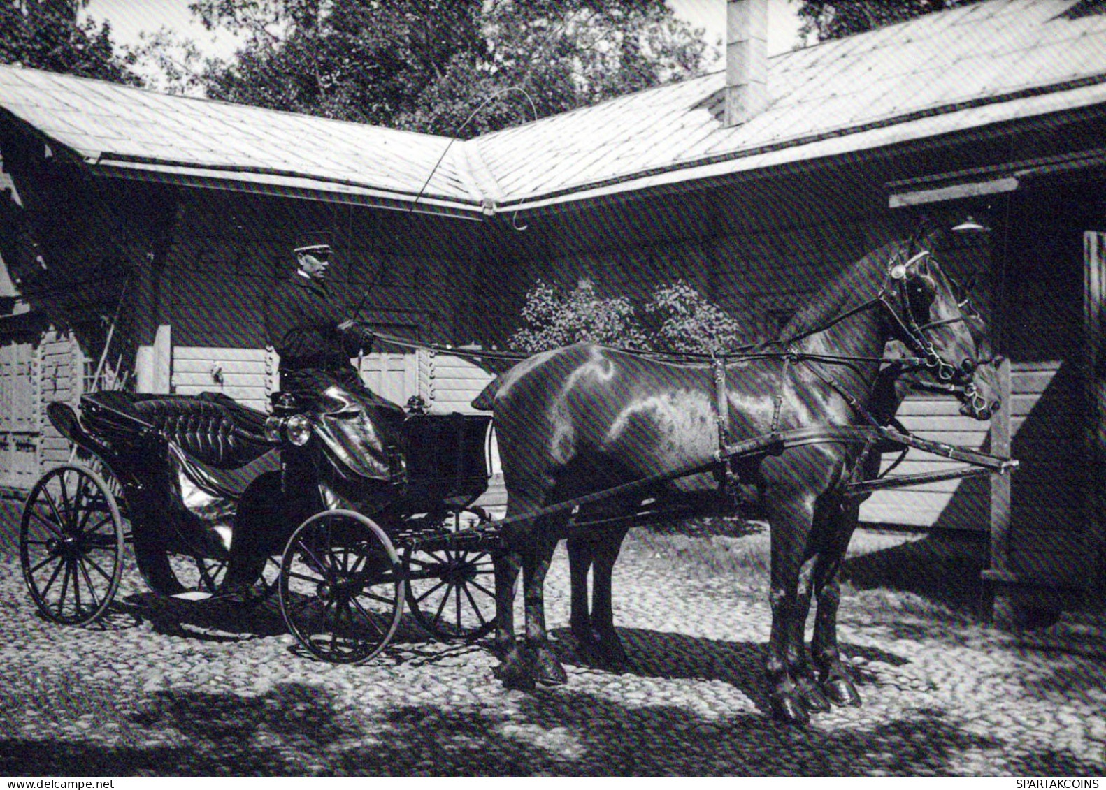 CABALLO Animales Vintage Tarjeta Postal CPSM #PBR921.ES - Cavalli