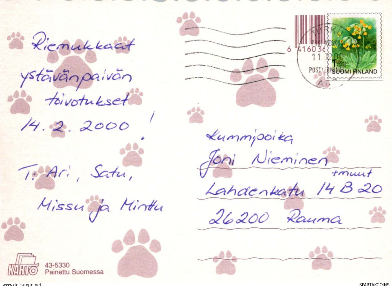 GATO GATITO Animales Vintage Tarjeta Postal CPSM #PBQ996.ES - Katzen