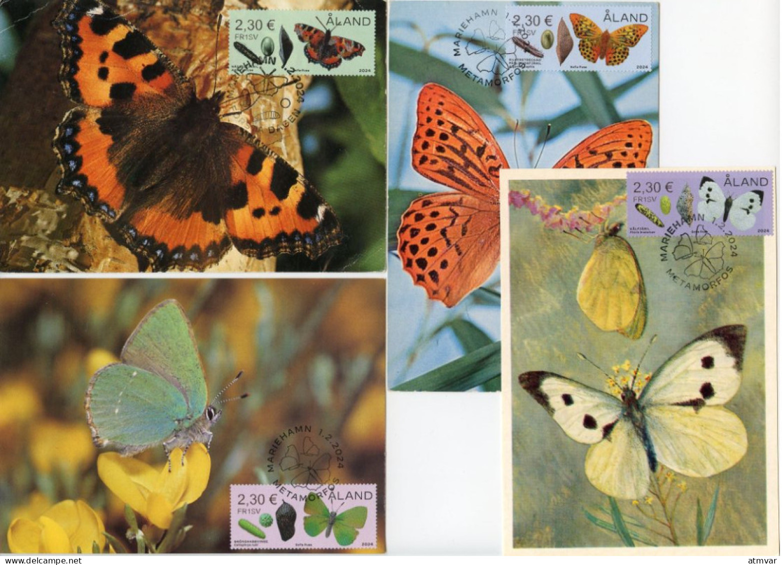 ALAND (2024) Carte S Maximum Card S - Metamorphosis, Butterflies, Butterfly, Larvae, Papillon, Mariposa, Falter - Set 4 - Aland