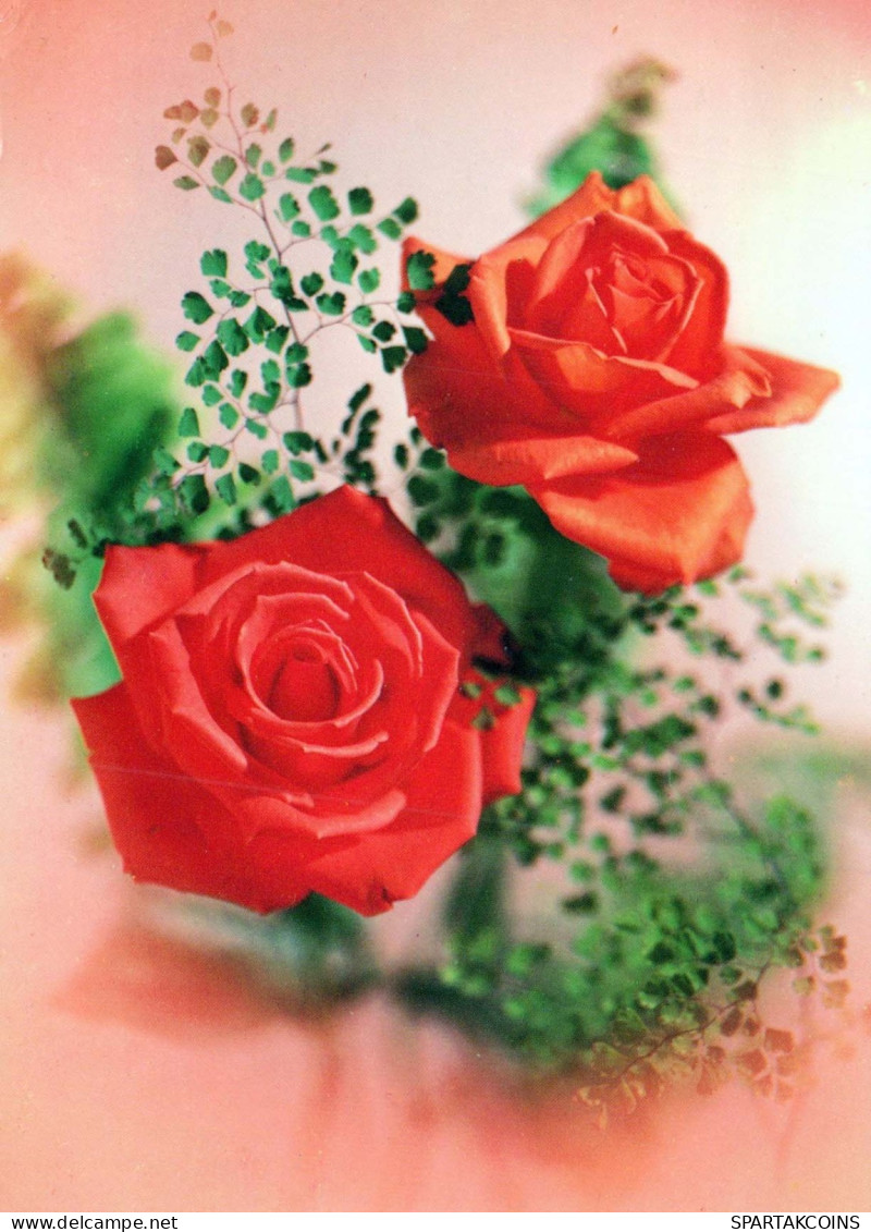 FLOWERS Vintage Ansichtskarte Postkarte CPSM #PAS070.DE - Flores