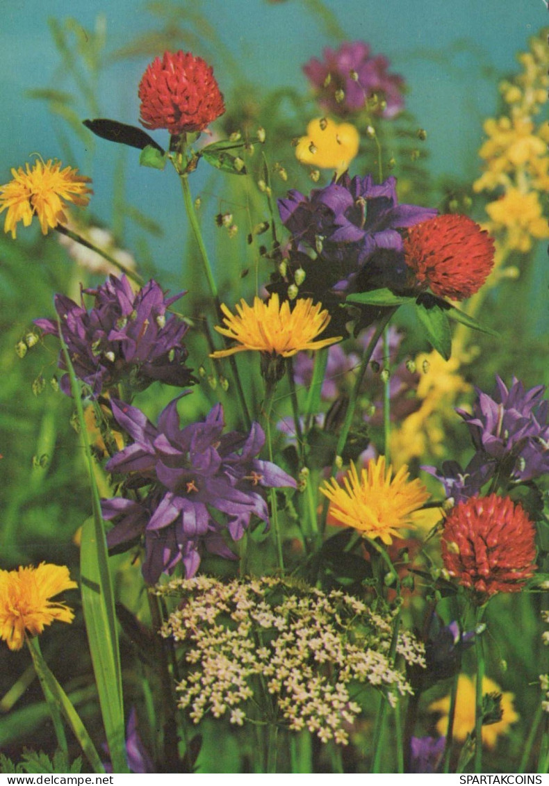 FLOWERS Vintage Ansichtskarte Postkarte CPSM #PAR228.DE - Fleurs