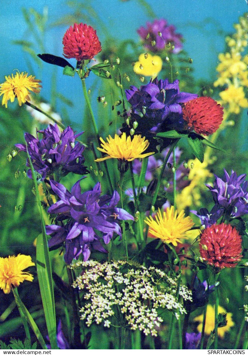 FLOWERS Vintage Ansichtskarte Postkarte CPSM #PAR228.DE - Bloemen