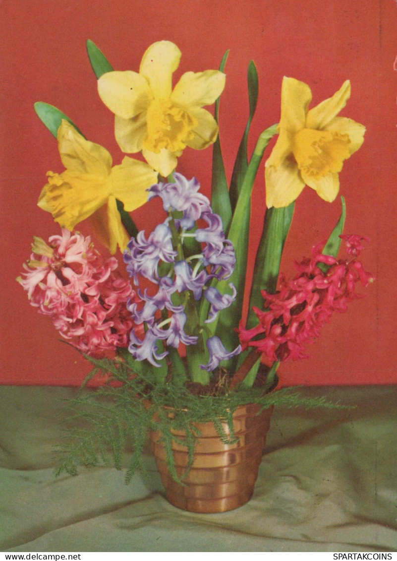 FLOWERS Vintage Ansichtskarte Postkarte CPSM #PAR107.DE - Fleurs