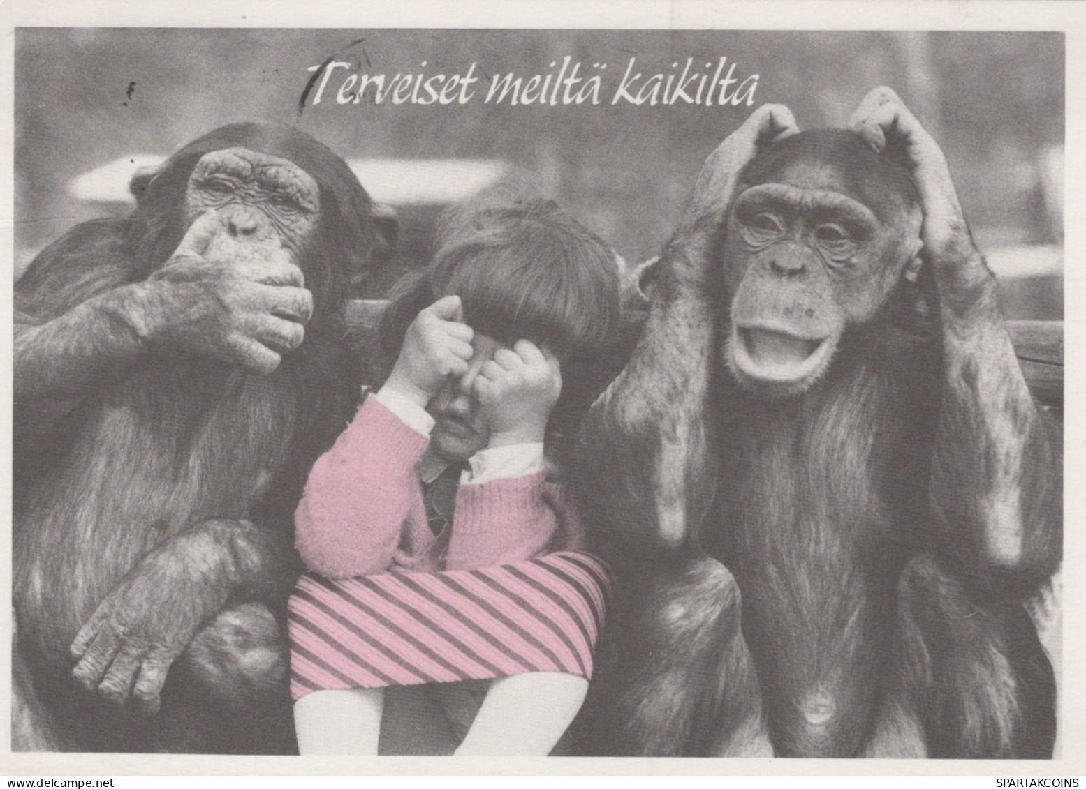 AFFE Tier Vintage Ansichtskarte Postkarte CPSM #PAN986.DE - Monkeys