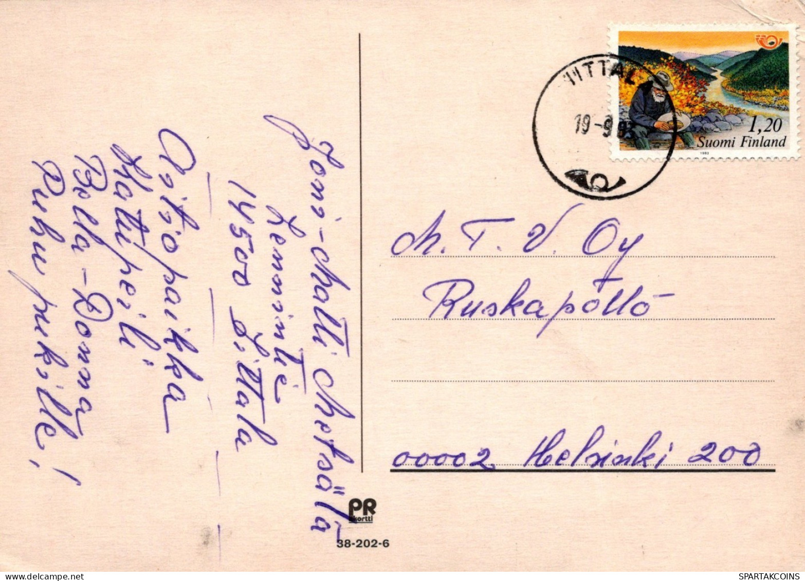 KATZE MIEZEKATZE Tier Vintage Ansichtskarte Postkarte CPSM #PAM585.DE - Katzen