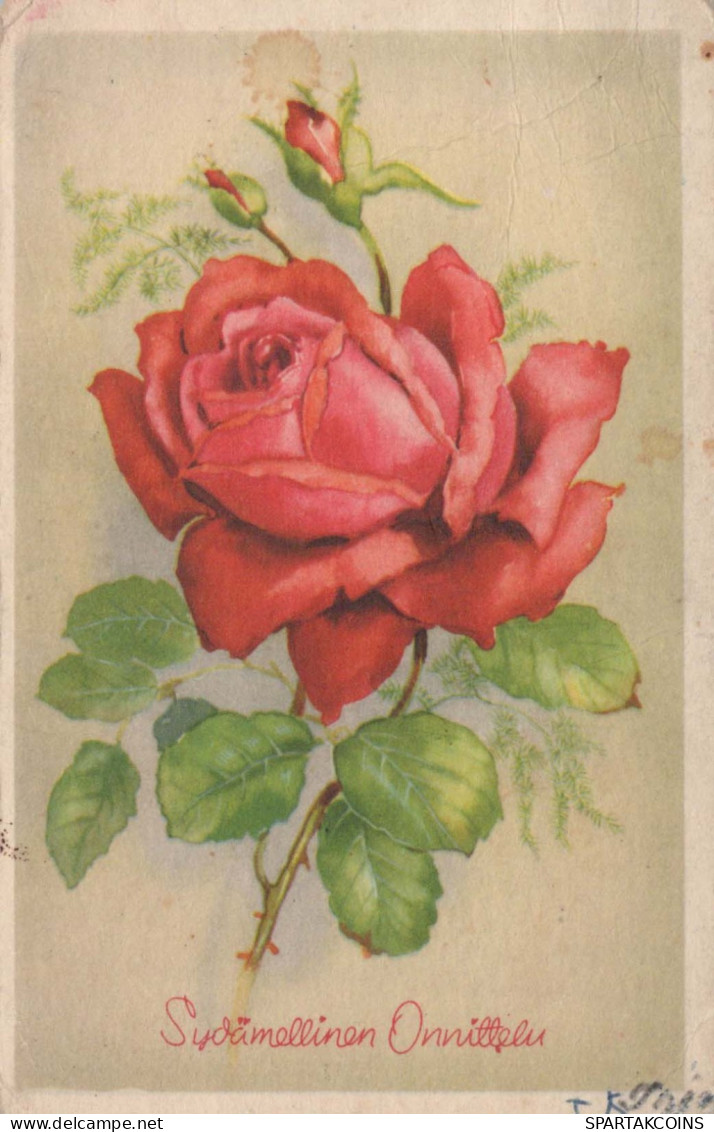 FLEURS Vintage Carte Postale CPA #PKE652.FR - Fleurs