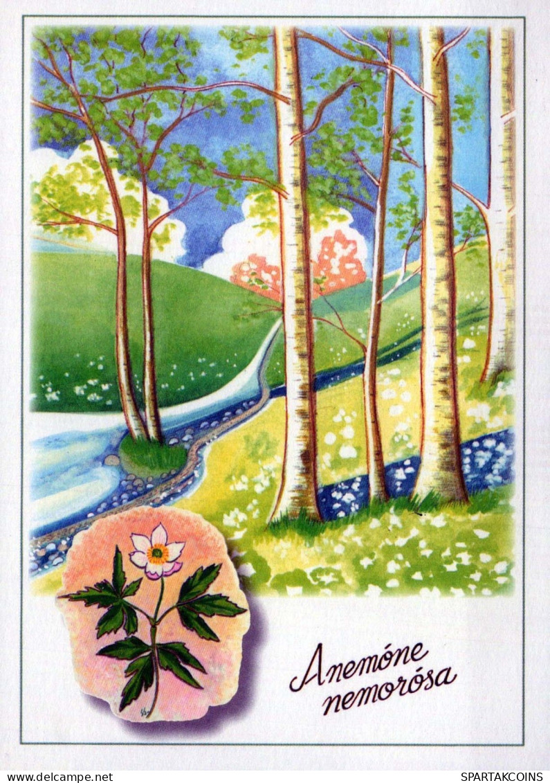 FLEURS Vintage Carte Postale CPSM #PBZ116.FR - Fleurs