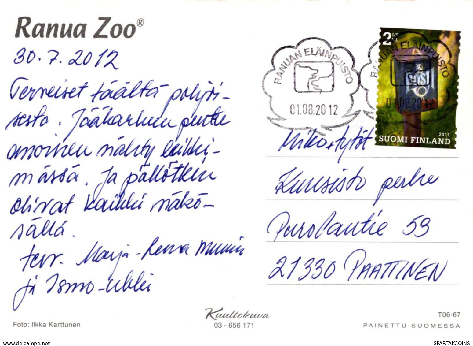 OISEAU Animaux Vintage Carte Postale CPSM #PBR525.FR - Oiseaux