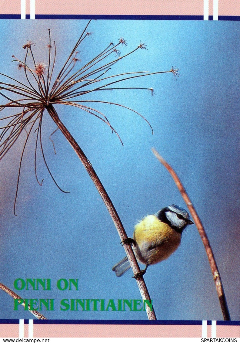 UCCELLO Animale Vintage Cartolina CPSM #PAN213.IT - Oiseaux