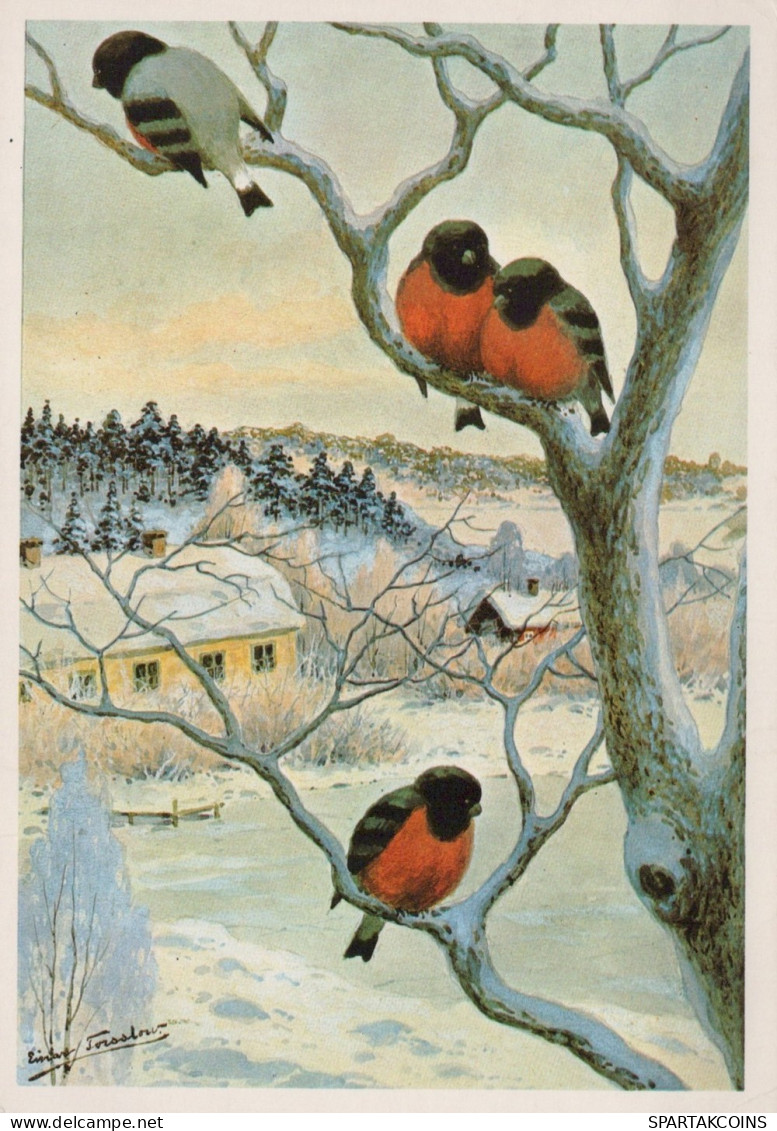 UCCELLO Animale Vintage Cartolina CPSM #PAM840.IT - Birds