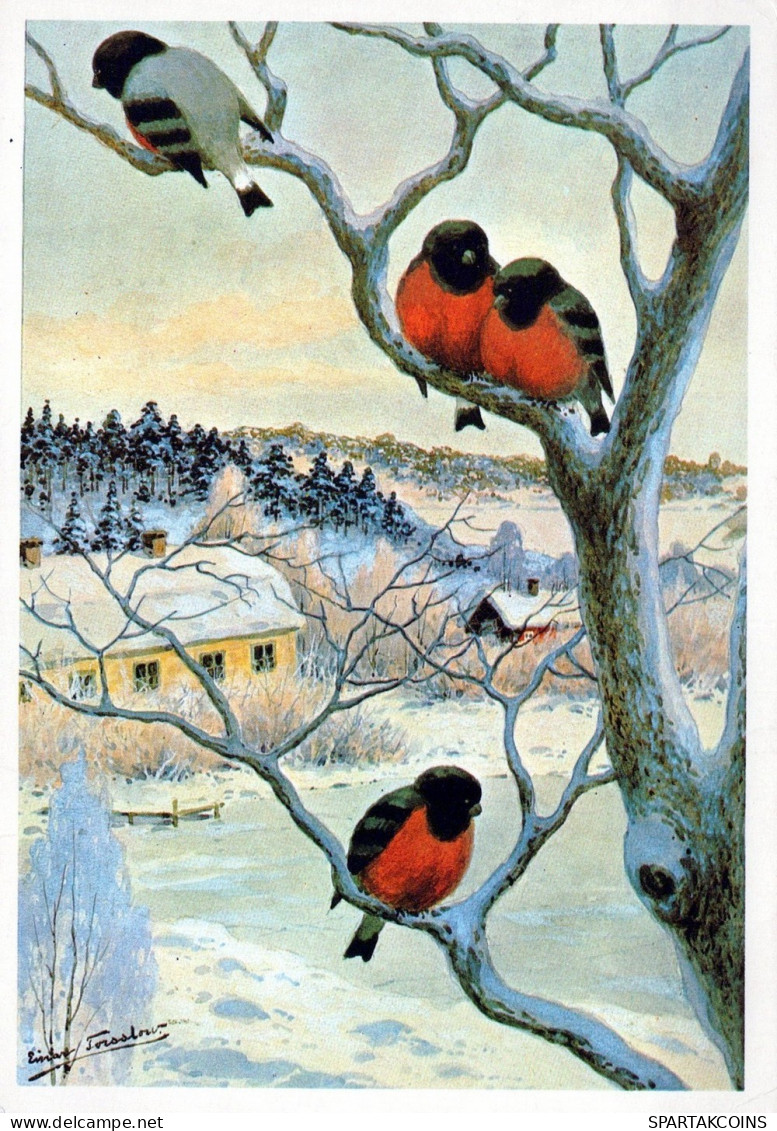 UCCELLO Animale Vintage Cartolina CPSM #PAM840.IT - Oiseaux