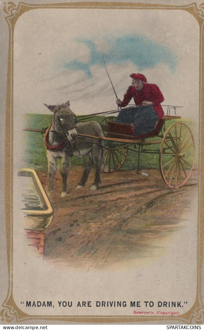 ESEL Tiere Vintage Antik Alt CPA Ansichtskarte Postkarte #PAA286.DE - Donkeys