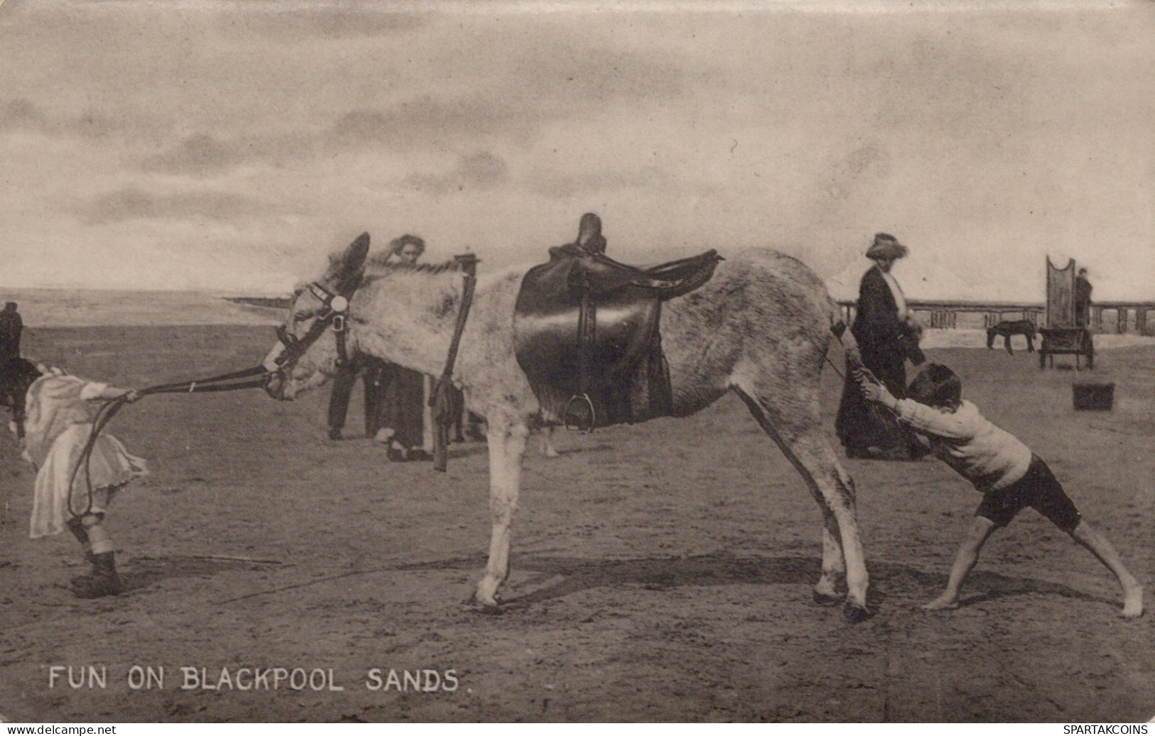 ESEL Tiere Vintage Antik Alt CPA Ansichtskarte Postkarte #PAA114.DE - Donkeys