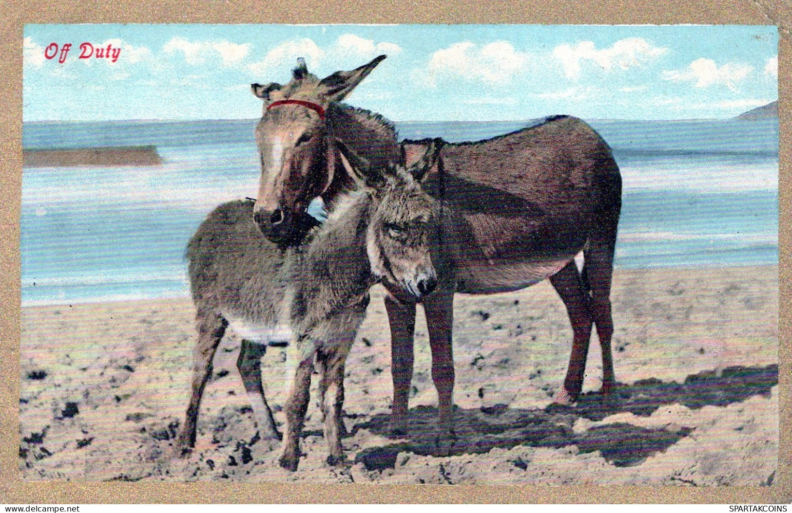 ESEL Tiere Vintage Antik Alt CPA Ansichtskarte Postkarte #PAA208.DE - Donkeys