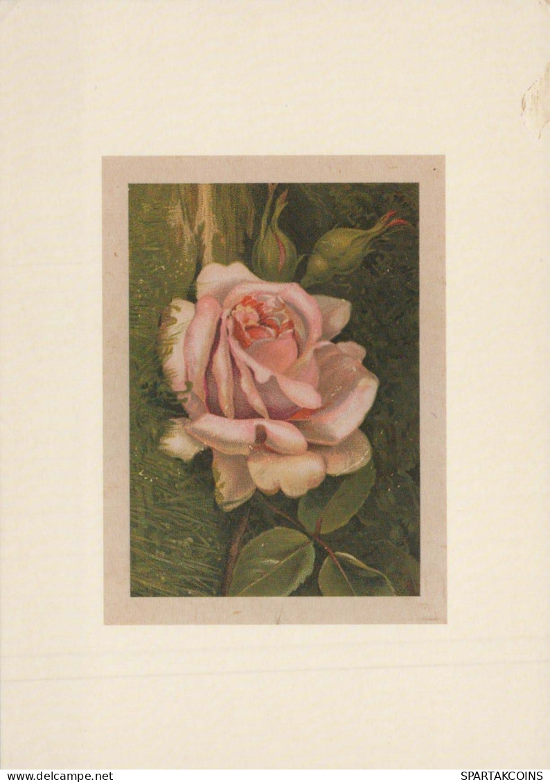 FLOWERS Vintage Ansichtskarte Postkarte CPSM #PBZ657.DE - Blumen