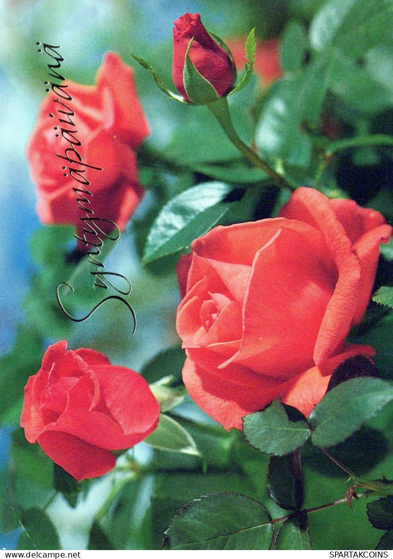 FLOWERS Vintage Ansichtskarte Postkarte CPSM #PBZ357.DE - Blumen