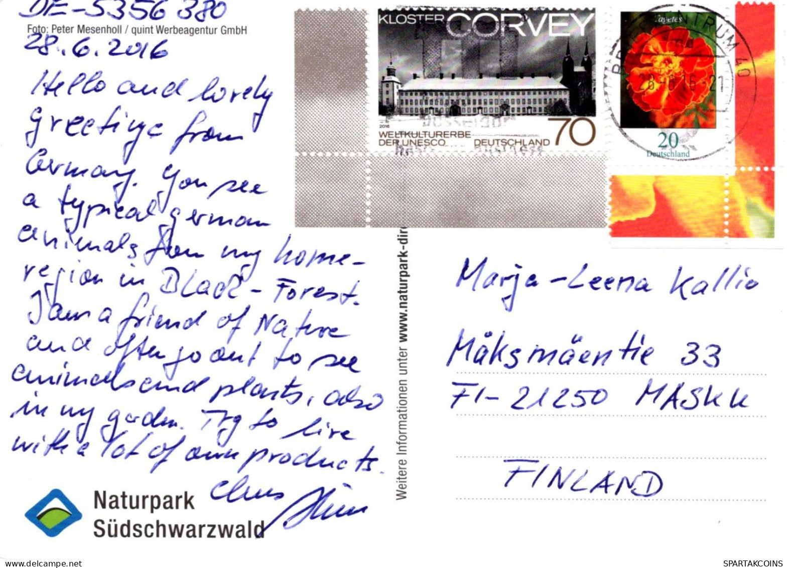 PIGS Tier Vintage Ansichtskarte Postkarte CPSM #PBR780.DE - Cerdos