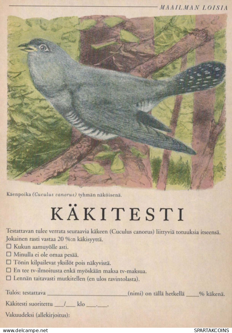 VOGEL Tier Vintage Ansichtskarte Postkarte CPSM #PBR719.DE - Pájaros