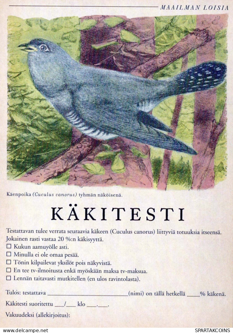 VOGEL Tier Vintage Ansichtskarte Postkarte CPSM #PBR719.DE - Pájaros