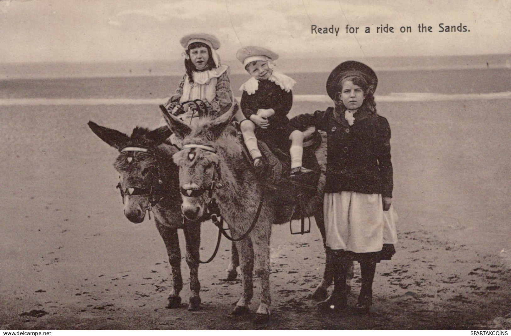 ASINO Animale BAMBINO Vintage CPA Cartolina #PAA209.IT - Donkeys