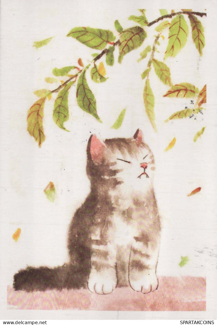GATTO KITTY Animale Vintage Cartolina CPSM #PBQ752.IT - Chats