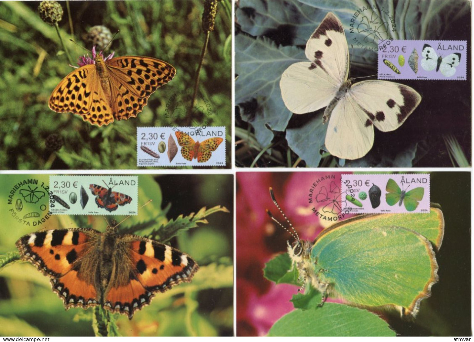 ALAND (2024) Carte S Maximum Card S - Metamorphosis, Butterflies, Butterfly, Larvae, Papillon, Mariposa, Falter - Set 4 - Aland