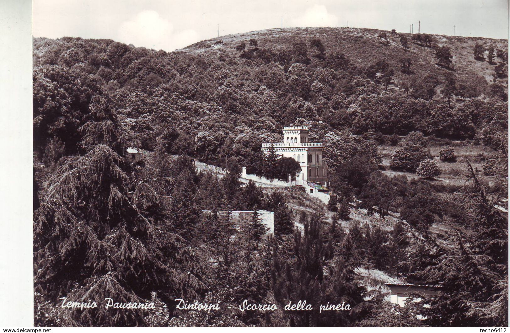 Tempio Pausania(sassari) - Scorcio Della Pineta - Non Viaggiata - Sassari