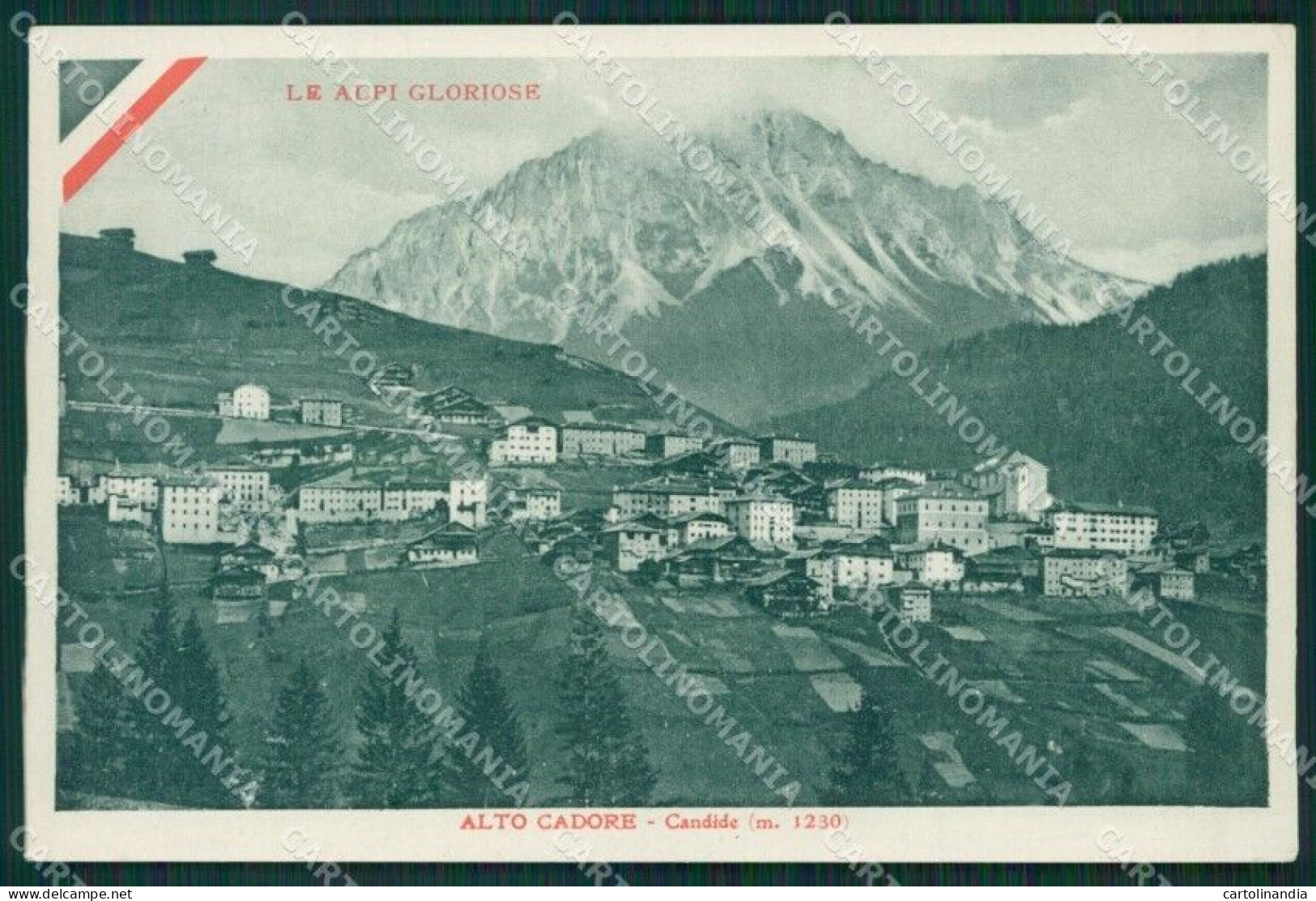 Belluno Comelico Superiore Candide Carducci Cartolina KV2877 - Belluno