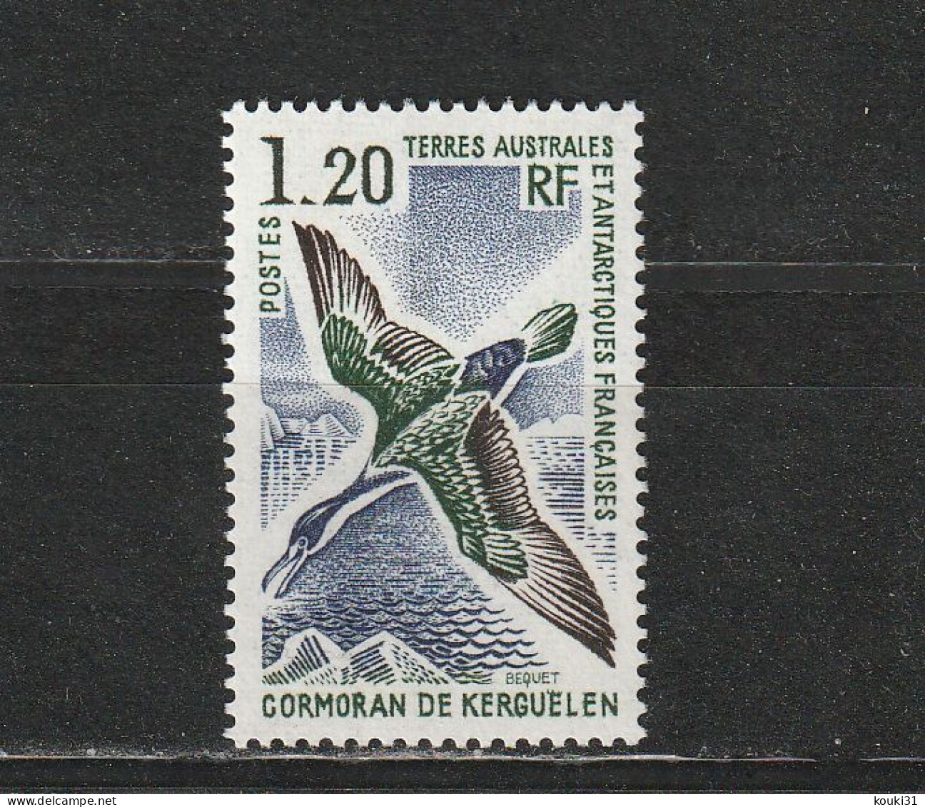 TAAF YT 59 ** : Cormoran De Kerguelen - 1976 - Nuovi