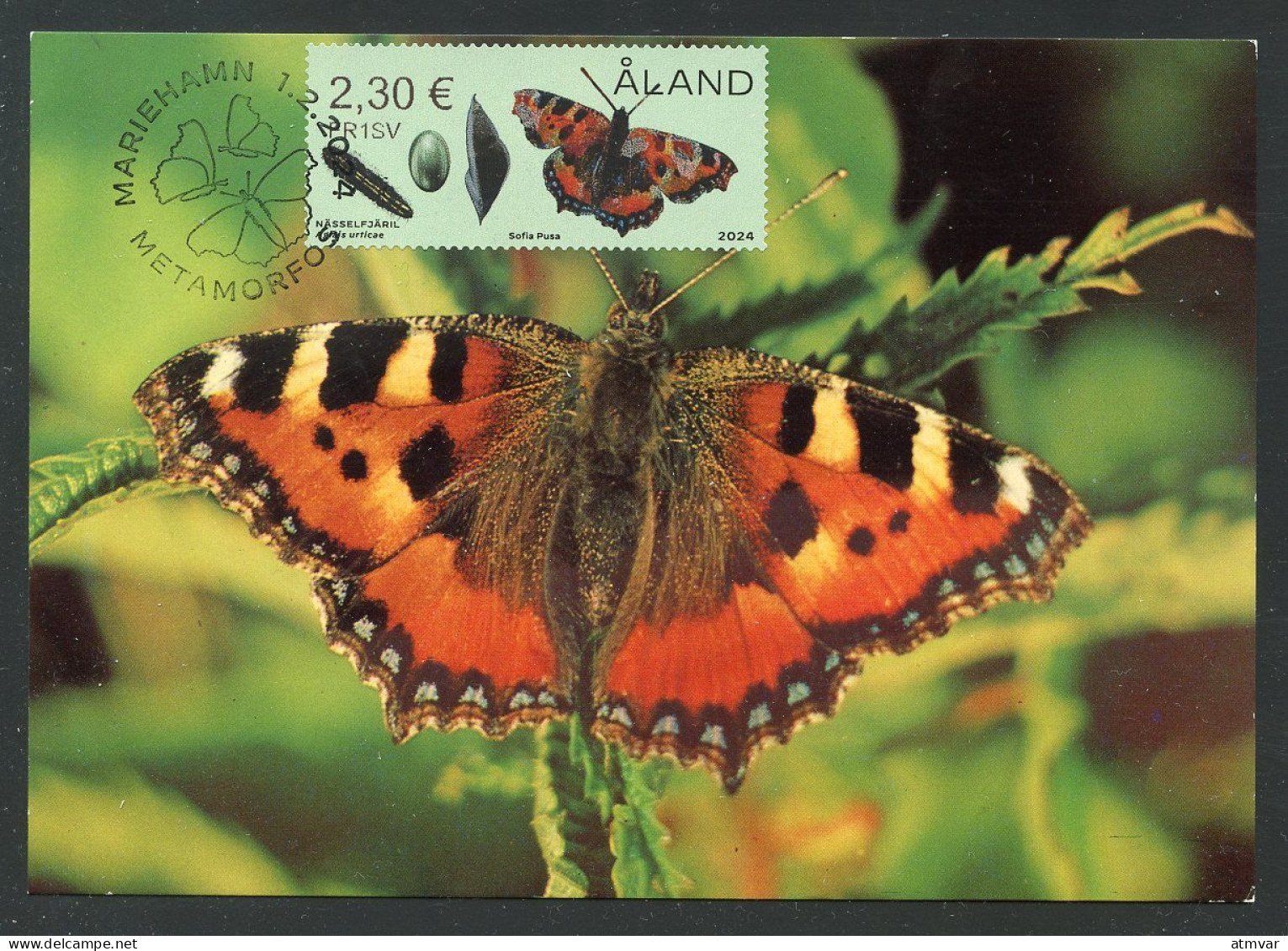 ALAND (2024) Carte Maximum Card - Metamorphosis, Butterflies, Butterfly, Larvae, Papillon, Aglais Urticae - Aland