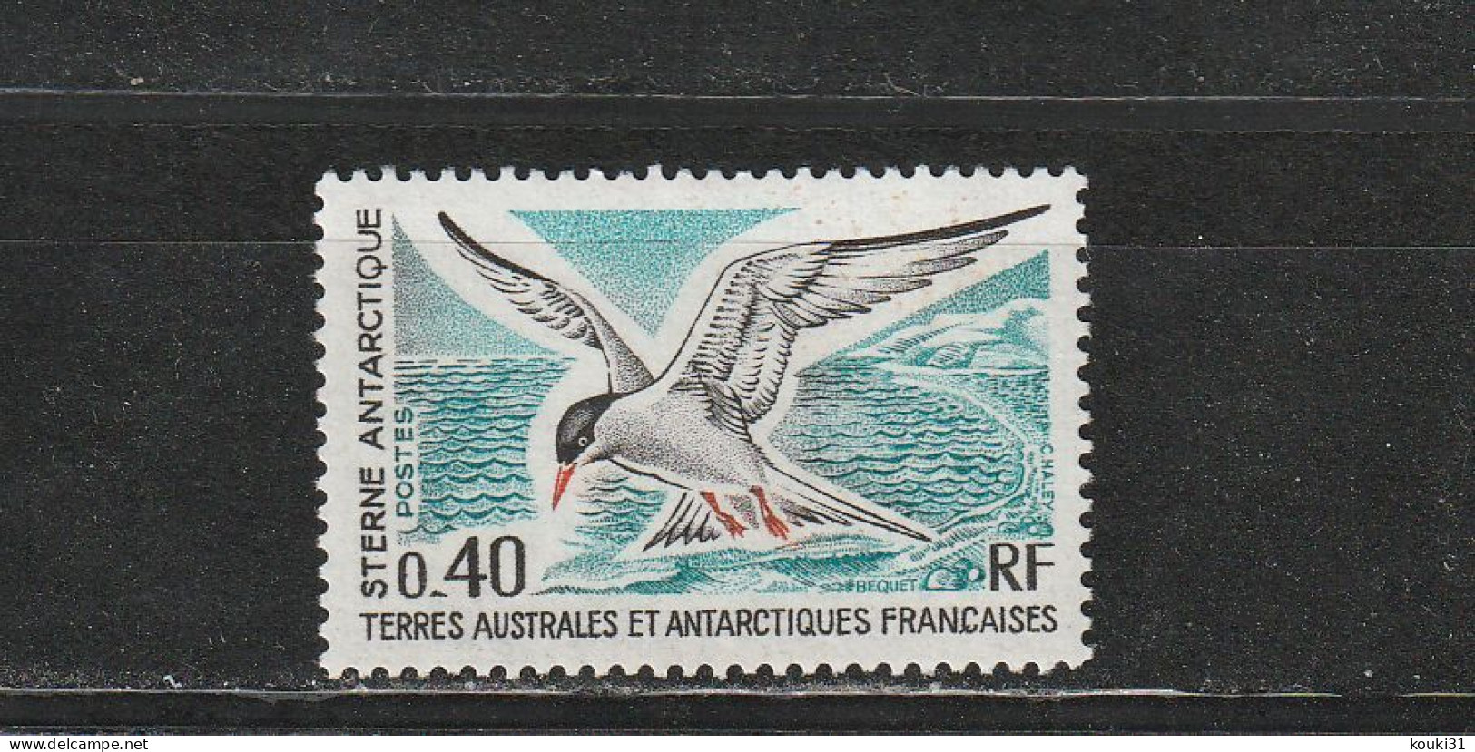 TAAF YT 55 ** : Sterne Antarctique - 1976 - Neufs