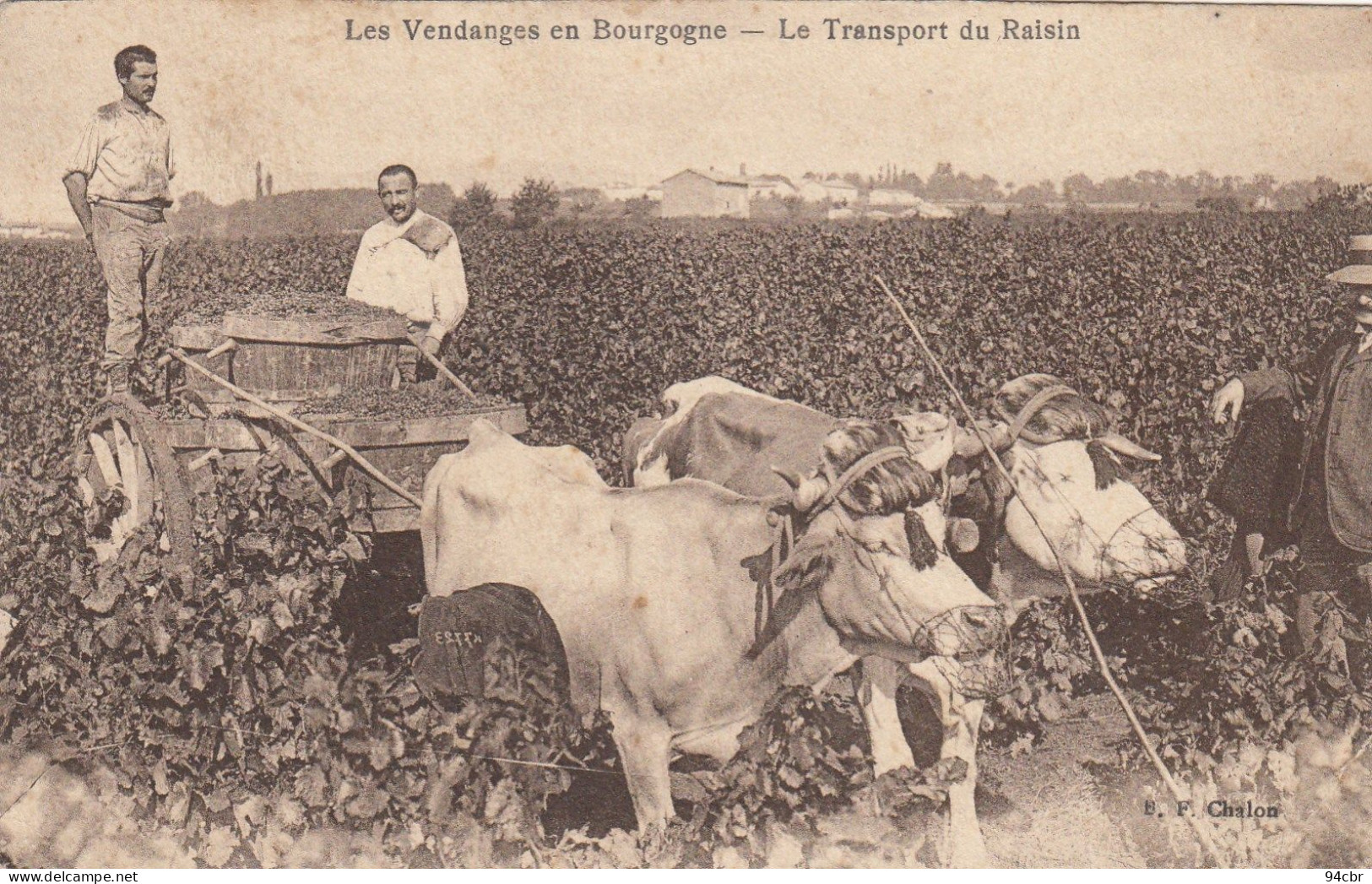 CPA ( Agriculture  Vignes) Les Vendanges En Bourgogne  Le Transport Du Raisin(b.bur Theme) - Wijnbouw